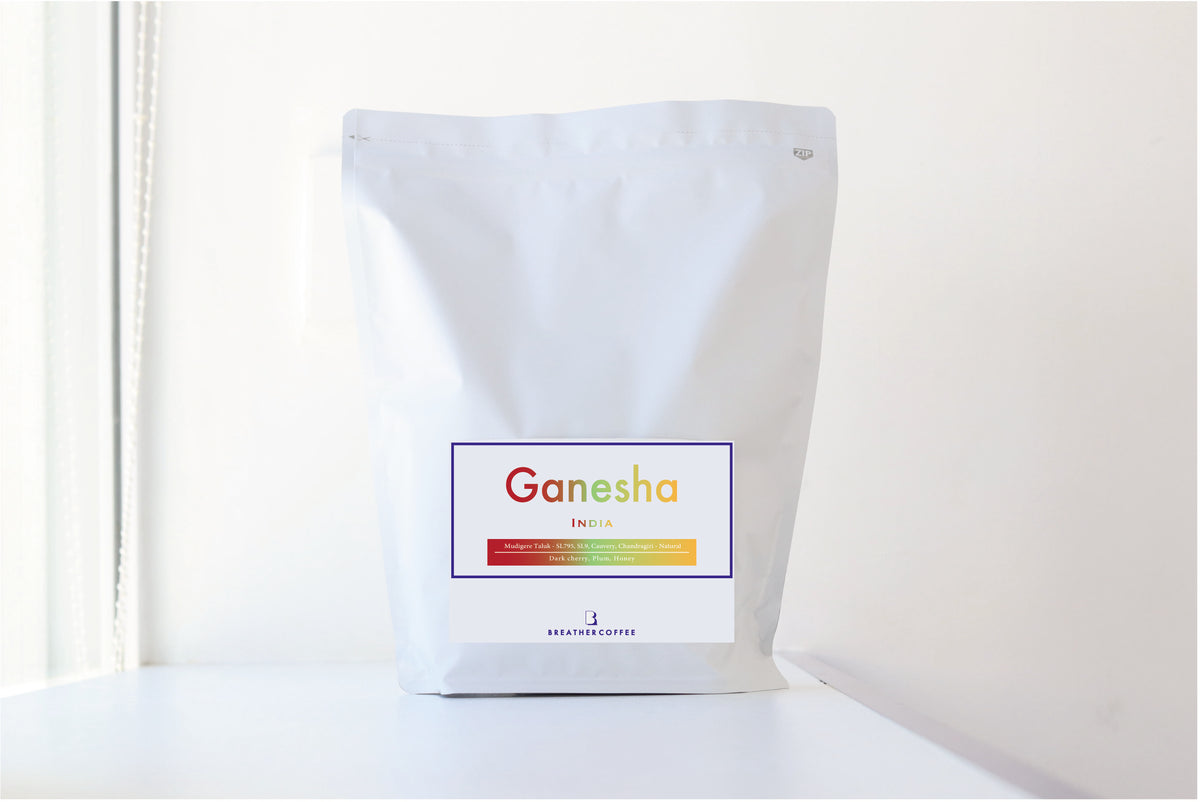 Ganesha インド