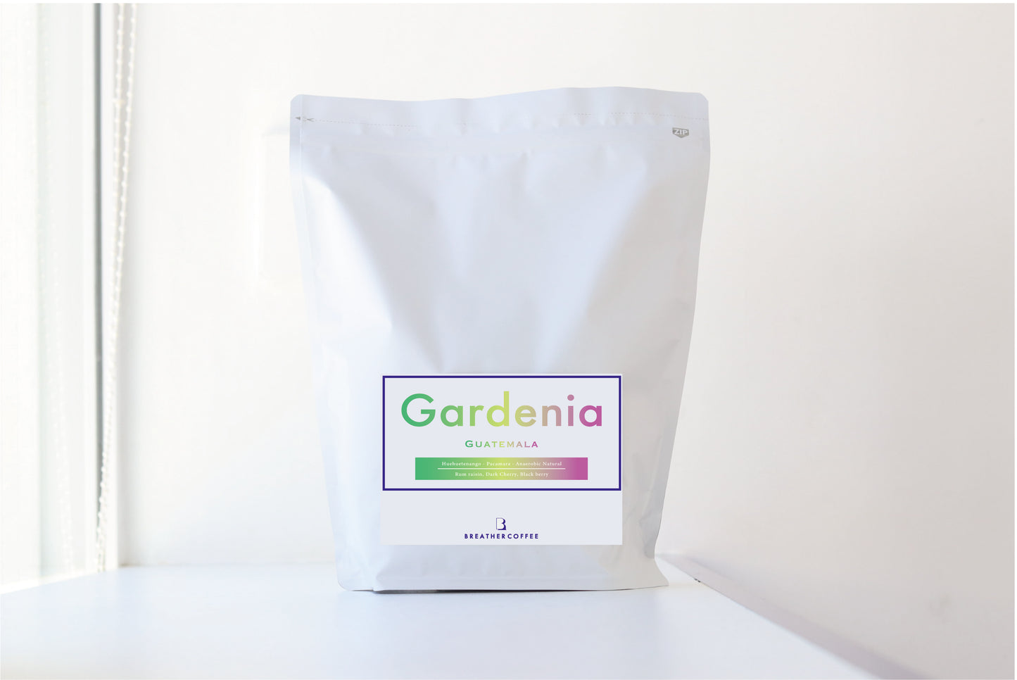 Gardenia 과테말라