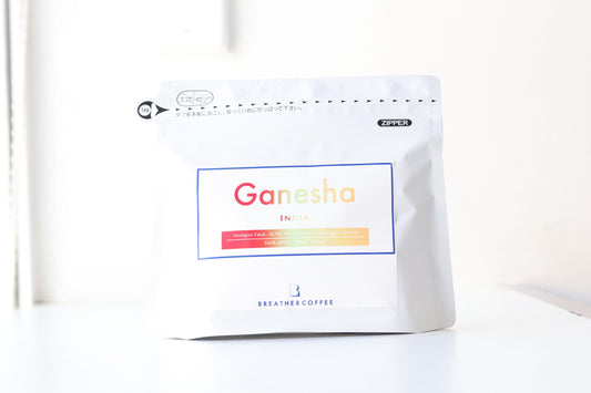 Ganesha　インド
